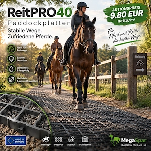 Robuste Paddockplatten für Pferde - Paddockgitter kaufen & ideale Kunststoffmatten