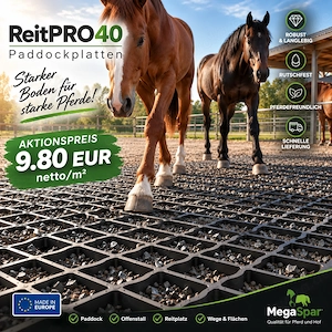 Paddockplatten kaufen & Rasengitter für Pferde - Paddockgitter für Paddocks und Reitplätze