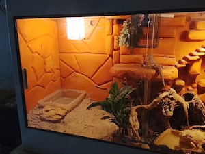 Terrarium mit Zubehör 