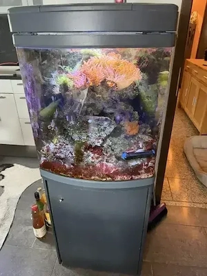 Sera Cube 130 Meerwasseraquarium