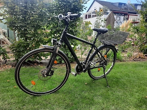 HR-Trekkingrad Raleigh Donington