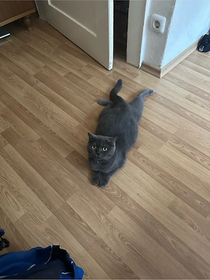    Kiki such ein 