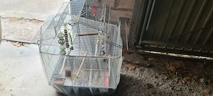 Gebrauchter Vogelkäfig mit Zubehör (Sittich Kanarienvogel)   Nur Abholung!  Beschreibung:
