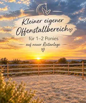  Eigener Offenstallbereich auf neuer Reitanalge 