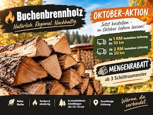 Aktion - Buchen Brennholz - trocken und ofenfertig - 20|25|33