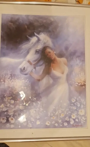 Schönes Bild mit Pferd