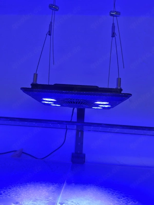MJ-L260 Beleuchtung 
