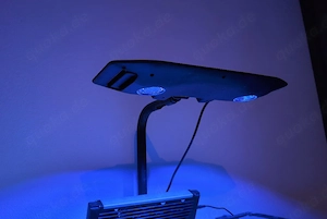 Meerwasser Led Kessil ap9x 