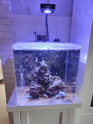 Dupla Marin Meerwasseraquarium 50 l