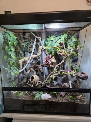 terrarium 