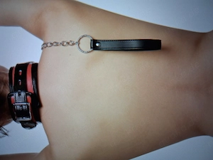 geile  Lady für BDSM Treffen gesucht  Benutzung Züchtigung Vorführung SM
