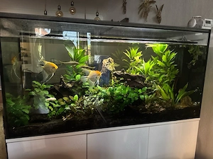 top 422l aquarium + technikbecken 