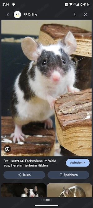 Maus abzugeben auch mit käfig