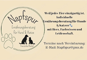 Ernährungsberatung für Hund und Katze  