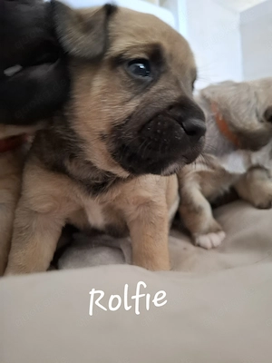 Wir suchen ei. Zuhause 