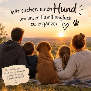    Wir suchen Familienzuwachs!     
