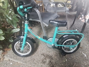 Kinderfahrrad Lion