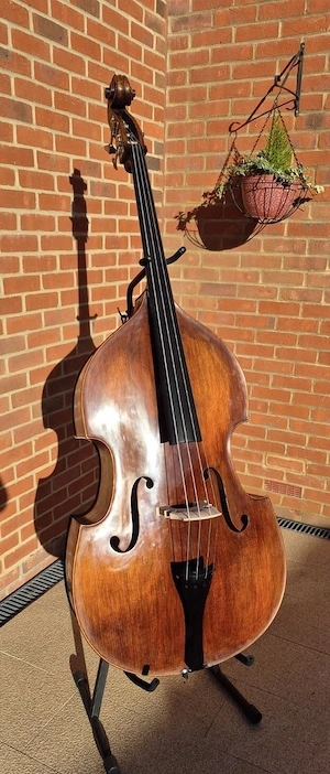 Stentor Arcadia Kontrabass