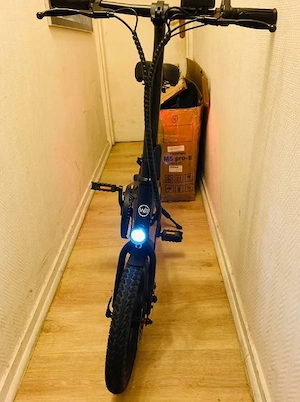 Elektrofahrrad 