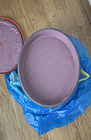 Fassadenfarbe 10 Liter Bauhaus - wie neu - 