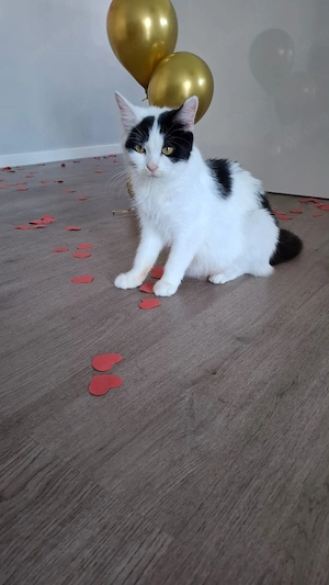 Flo       