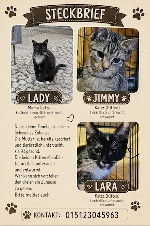 liebe Katzen 