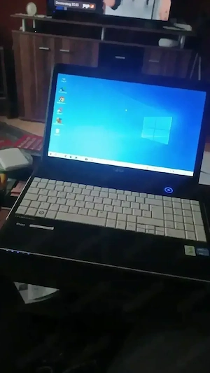 Fujitsu lepp top