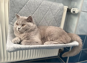 Deckkater BKH Bild 5