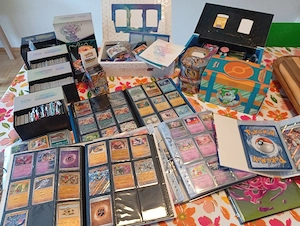 Pokemon Sammlung 