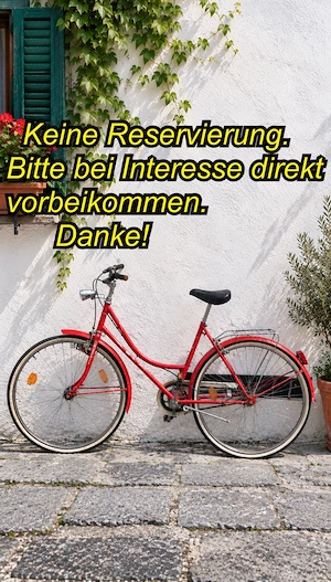 Fahrrad Damen Classic Cityrad Bianchi 26 Zoll   RH 51 cm