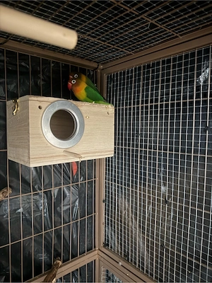 Vogel verkaufen