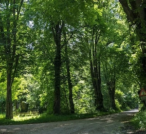 Eine Frau Lust auf ein unkompliziertes Parkplatz treffen 