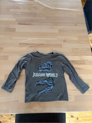 Jungen Sweatshirt   Langarm Shirt   Übergangspullover der Marke Jurassic World, Größe 116
