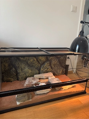 Terrarium mit Lampe und Zubehör abzugeben!