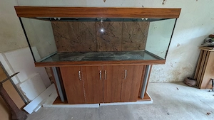 Aquarium Kombination mit Rückwand 180x60x60