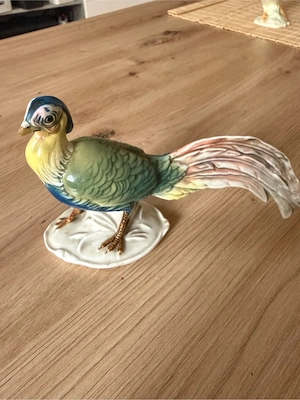 Karl Ens Fasan