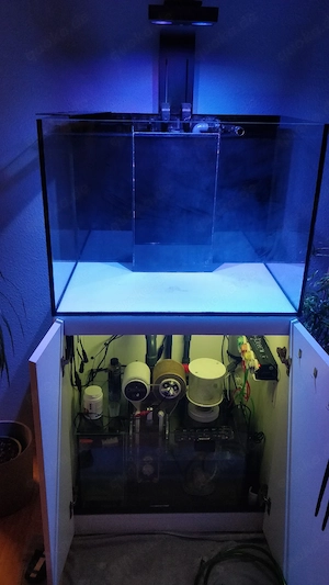    Meerwasser-Aquarium Aqua Medic Armatus 250 Weißglas   komplett mit Technik