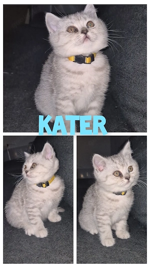  BKH Baby darf  ausziehen 