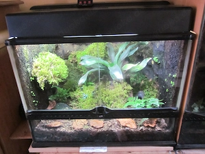 Exxo Terra Terrarium 60x45x45 cm