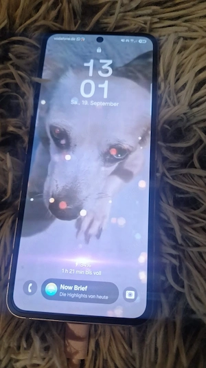 Samsung Zflip 6