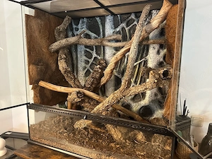 Exo Terra Terrarium 90 x 45 x 90 mit Regal und Zubehör