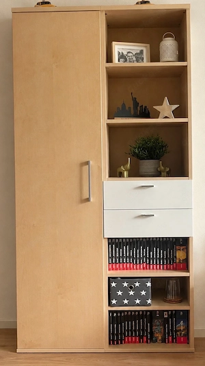 CS Schmal Schrank Schrankwand mit Schubladen Regalen und Tür 87x37,5x200cm