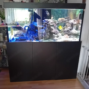Meerwasser Aquarium 1260 Liter 