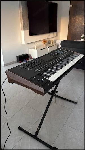 Korg Pa 5 x