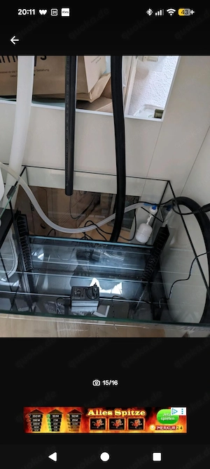 Aqua medic Armatus 250 Meerwasser Aquarium komplett mit Besatz und Technik  Bild 8