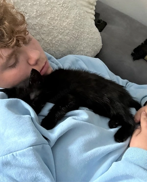 Katze | Kätzchen