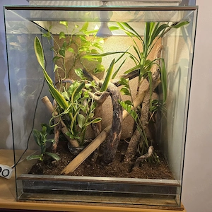 Terrarium komplett eingerichtet H 1m B 0,8m T 0,6m