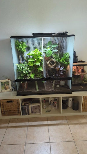 Verschiedene Terrarien zur Abgabe 
