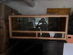 Terrarium zu verkaufen 