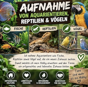        Aufnahme von Aquarientieren, Reptilien & Vögel